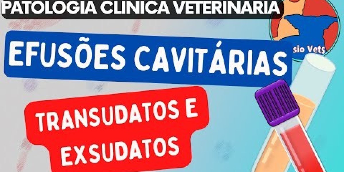 Cultura e Antibiograma: Chaves para um Diagnóstico Veterinário Eficiente