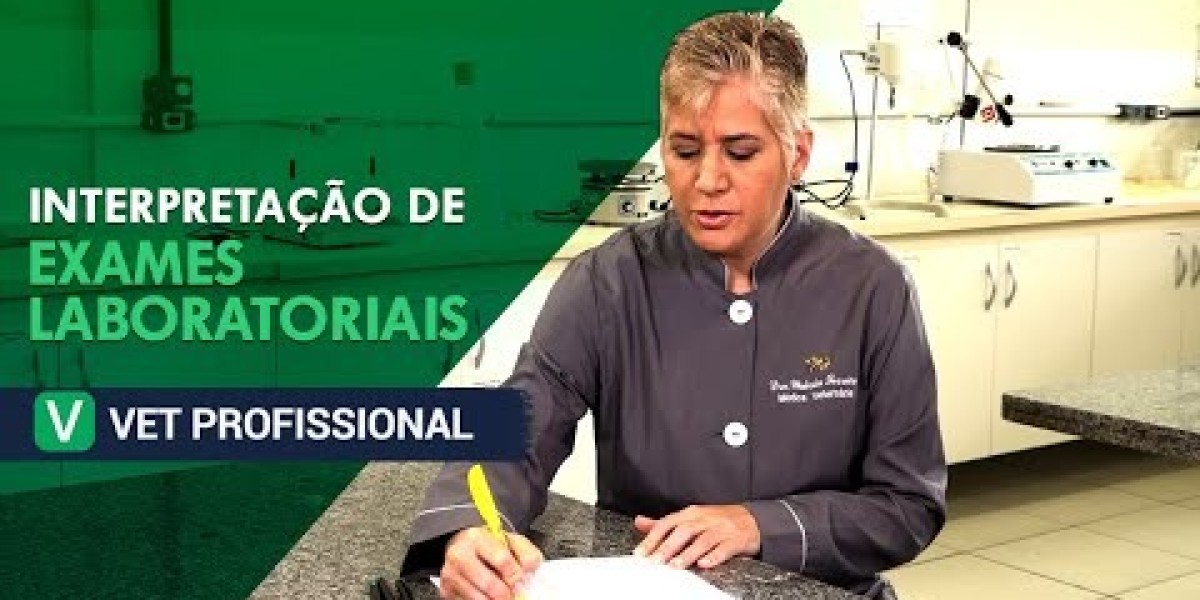 Os Segredos dos Exames Veterinários para Uma Vida Mais Longa e Saudável do Seu Pet